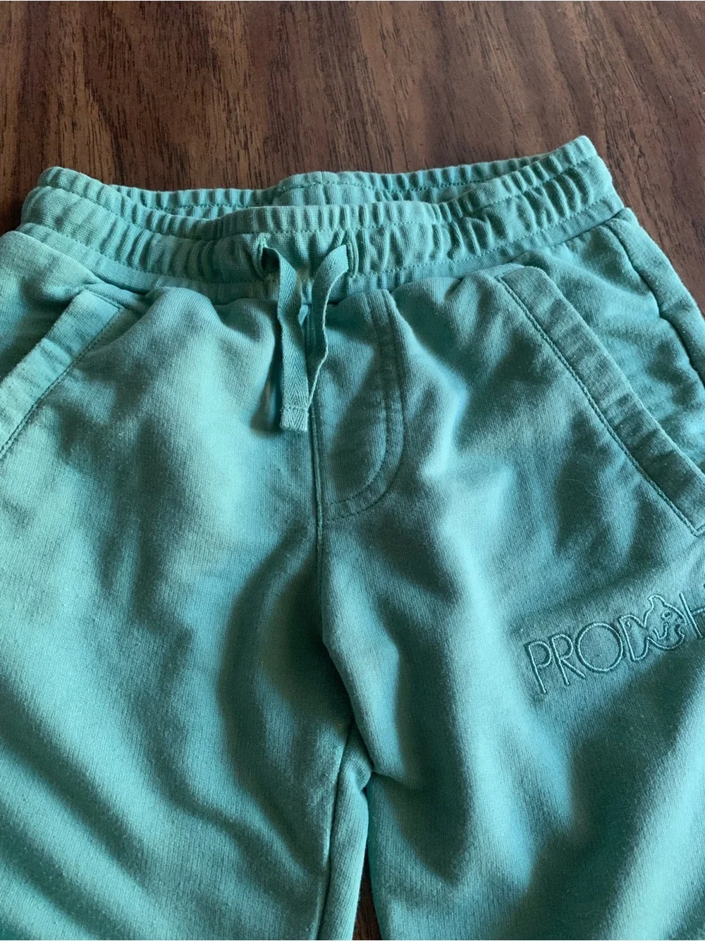 Kids Teal Proclaim Jogger Pants - Soft Pull-On Sweatpants